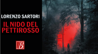 Il nido del pettirosso