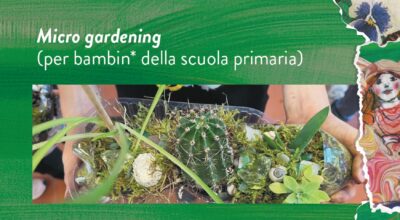 Micro gardening
